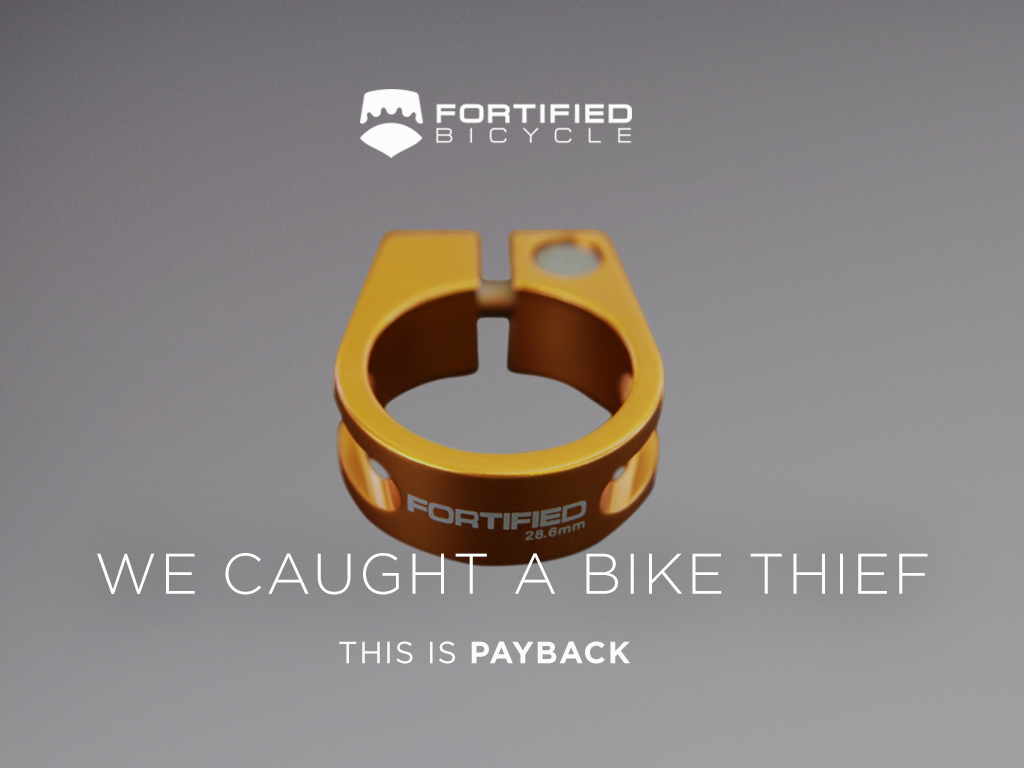prevent bike seat theft